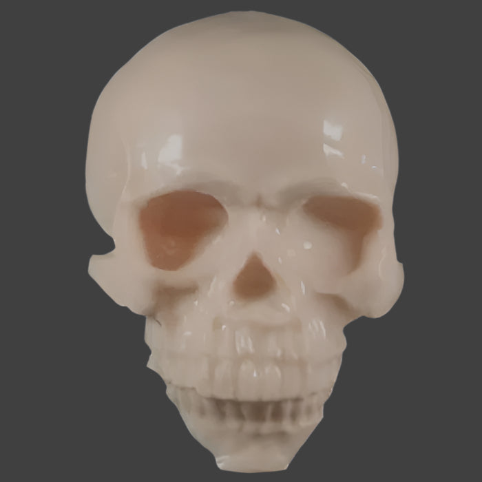 REELSKIN SKULL REELSKIN CANADA