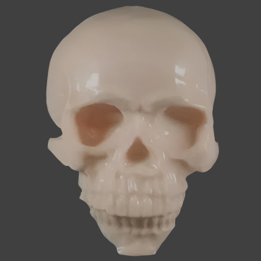 REELSKIN SKULL REELSKIN CANADA
