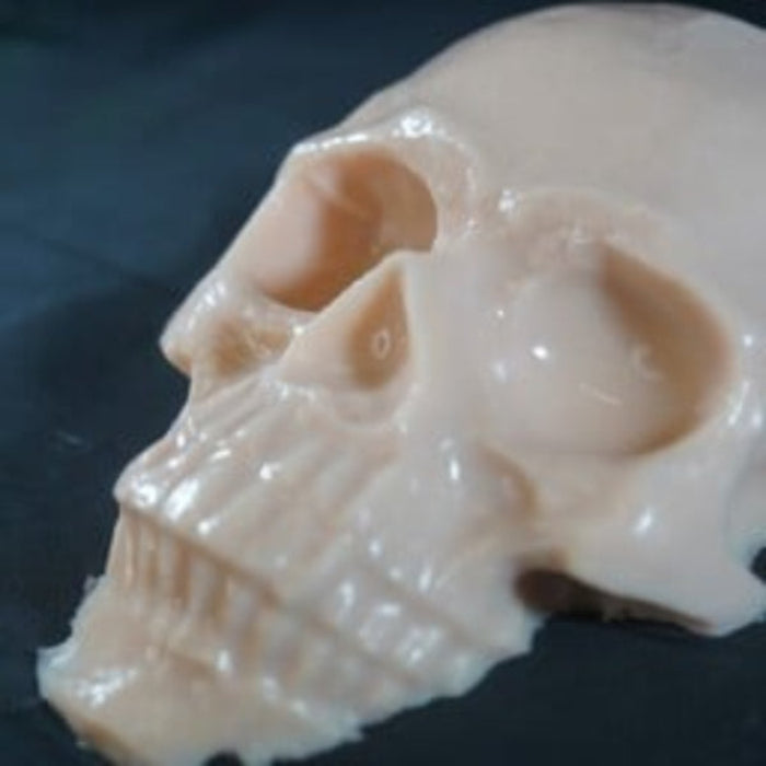 Close-up of a white skull model on a dark background